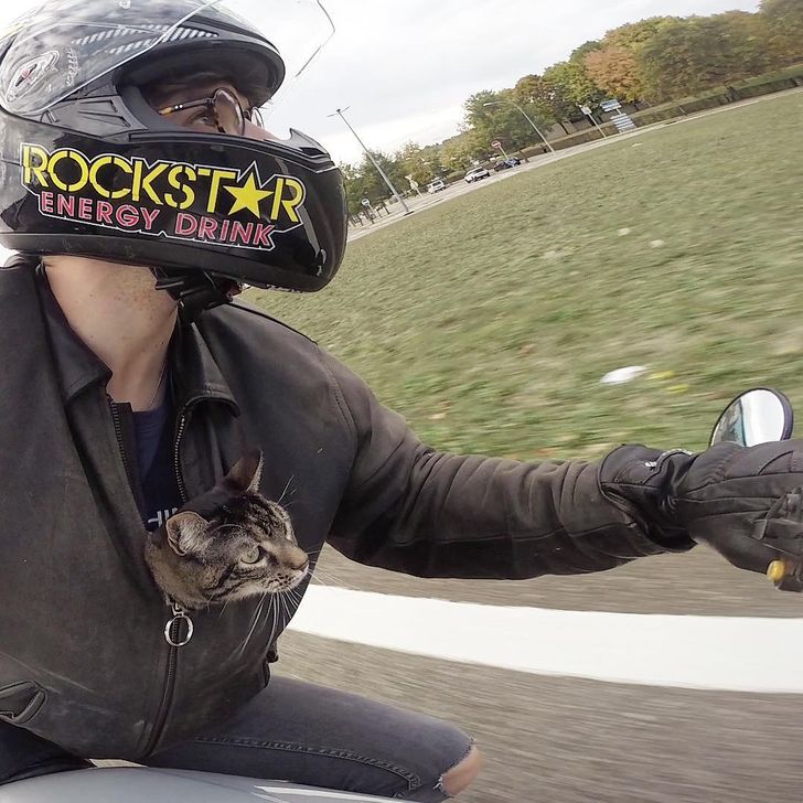 e7cca45953ac6f1932ca0b6851