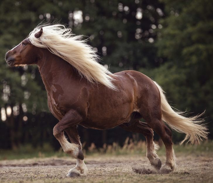 e7cde754e28f97c8f6be976b42