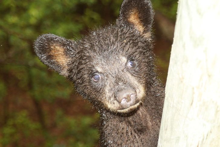 e7d0ec5ad1839705ad34707c5c