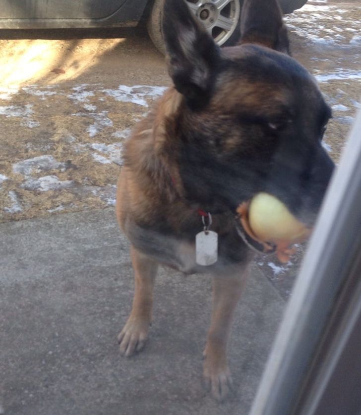 e7d0fe5a2694e99a031ca1a577