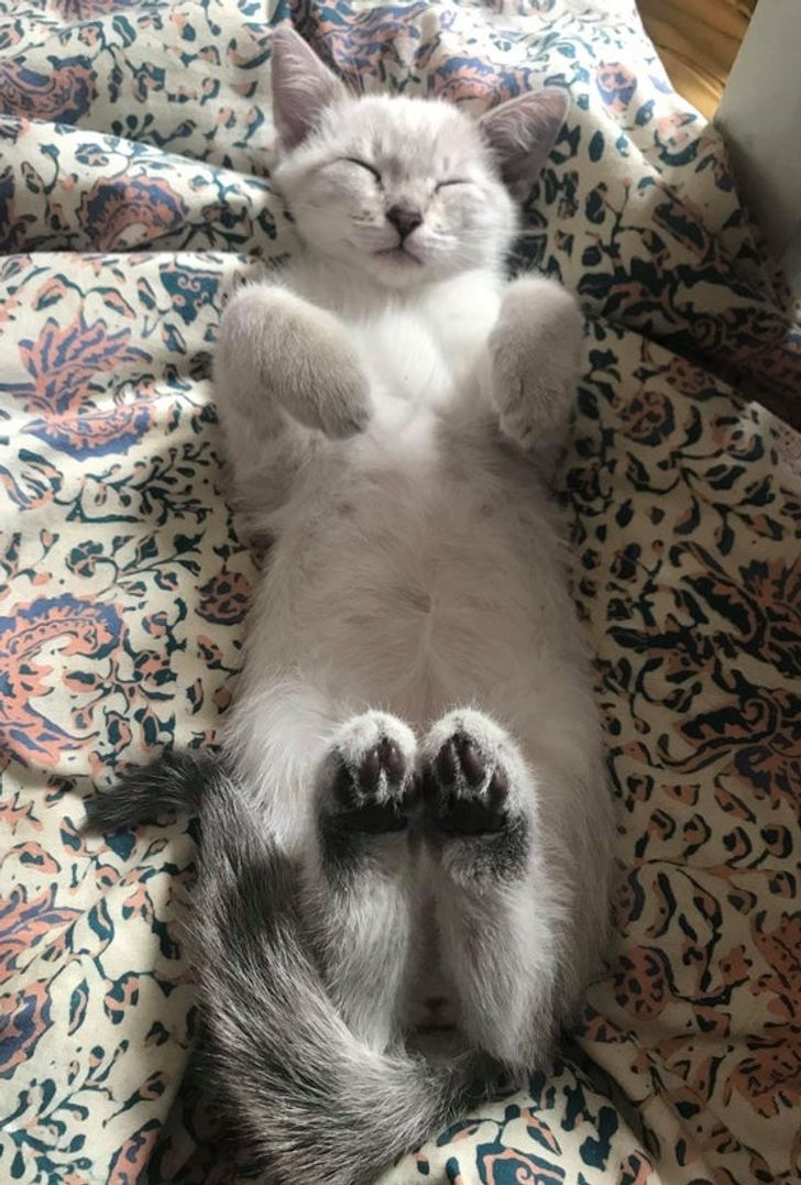 e7e0b157f3a3f45a9516276c56