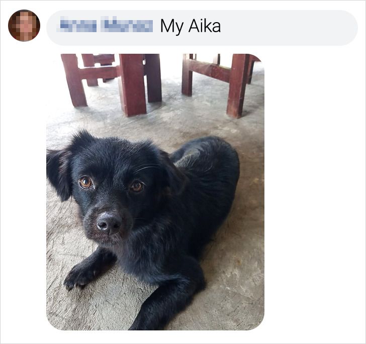 e7e55a5d8f985997f7d2b9dd40