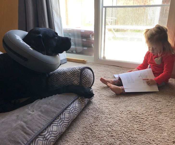 e7e89059b097fb0134eb6102d9