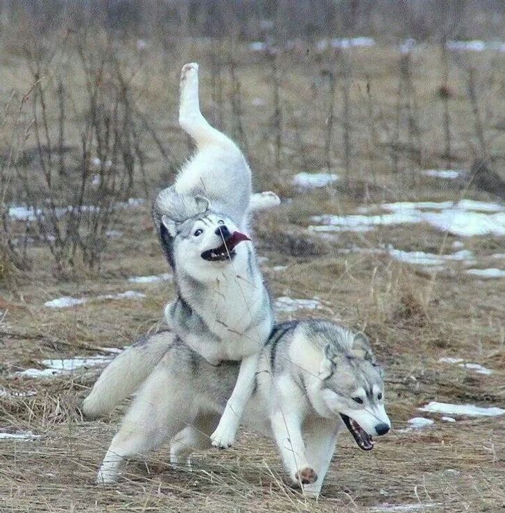 e7ebd350d0a567939a980c928c