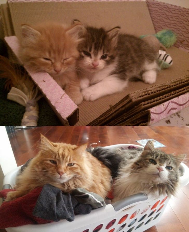 e7ec2e5888bfedbd5101485fc8