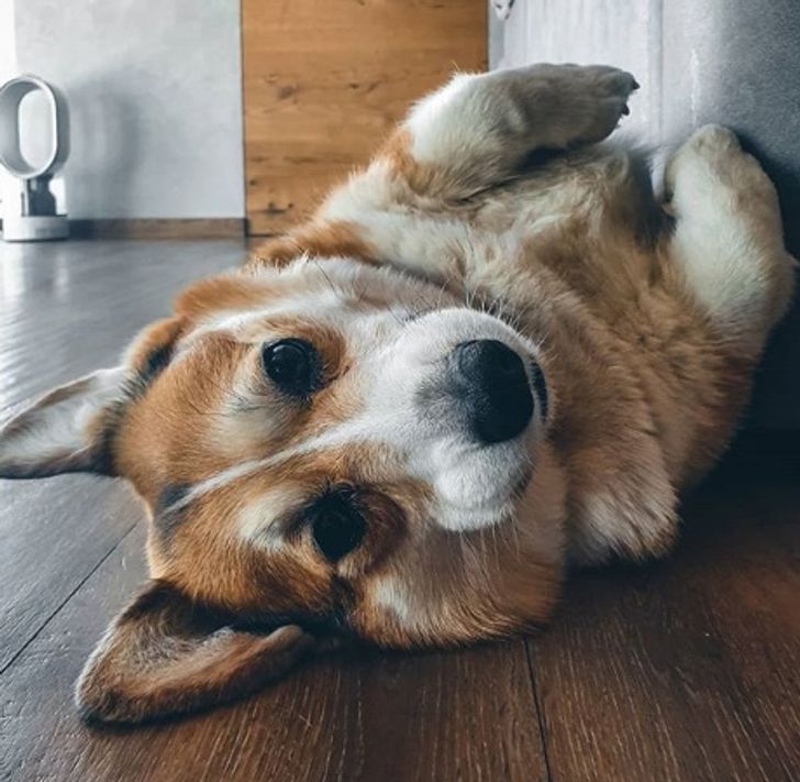 e7ee7b53d7b9ff18fe22bdea75