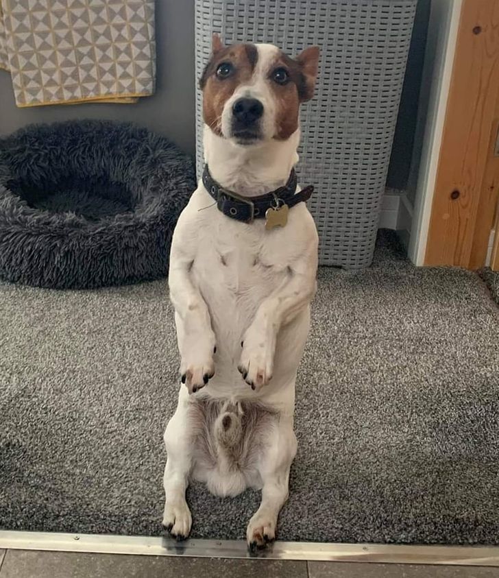 e7f37d5dccb9ffffedd3176d98