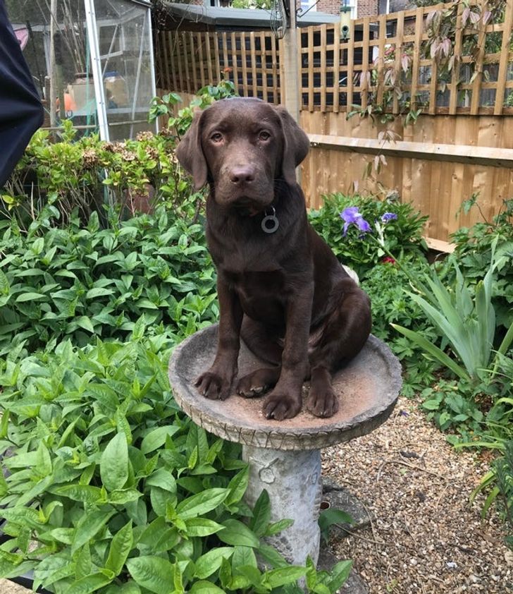 e7ff9f5cb789e20b3333657649