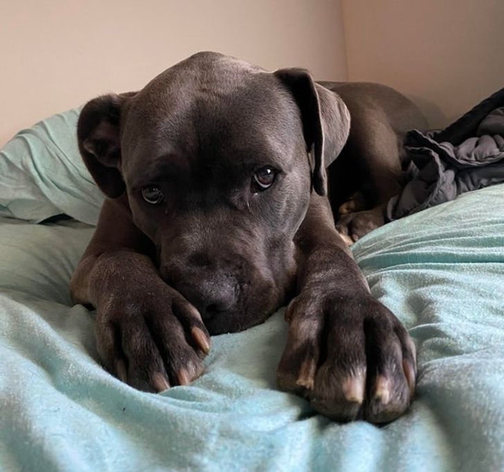 e800de599fa1d485ada37beda2