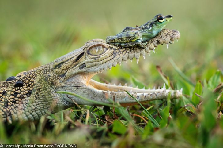 e80623574094e07f81e09ac460