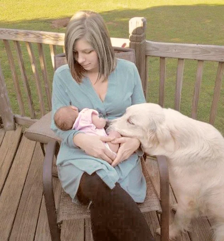 e809c05c92942e34cc7ff0599e