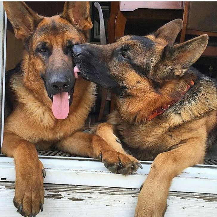 e819235d74965b24fcd25407db