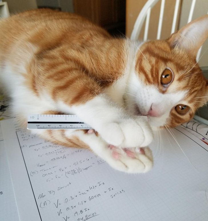 e81c3d552881f98a6f3179b1c8