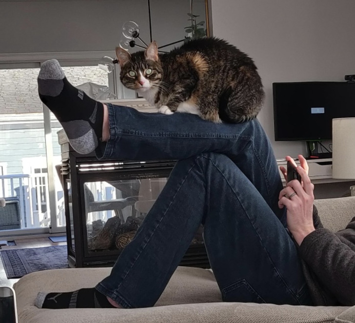 e81d9e54b79789ed113f3ca438 e81d9e54b79789ed113f3ca438