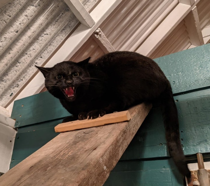 e81ee1560abf8652222579a1c3 e81ee1560abf8652222579a1c3