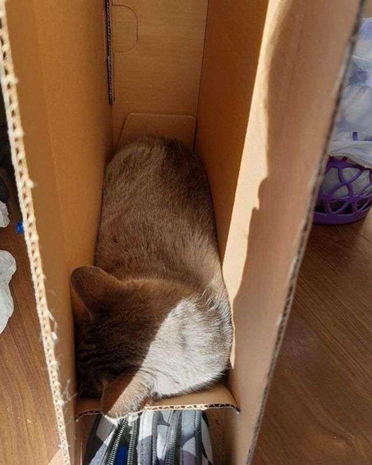 e81f0c502fbf57d5b048c4ef0f