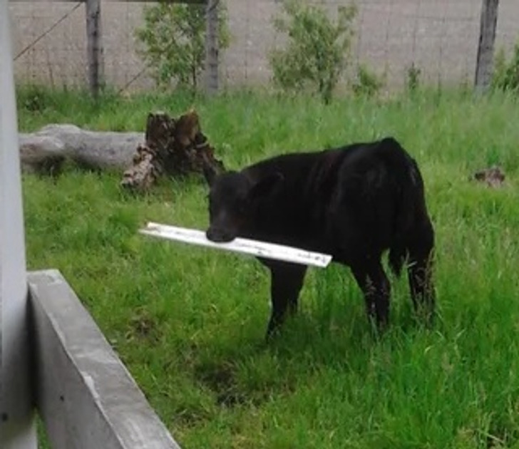 e8253f5db2a2f25b65f56dd6fa