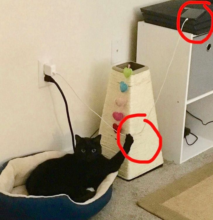 e826125385930c9eb5fb9c4dd3