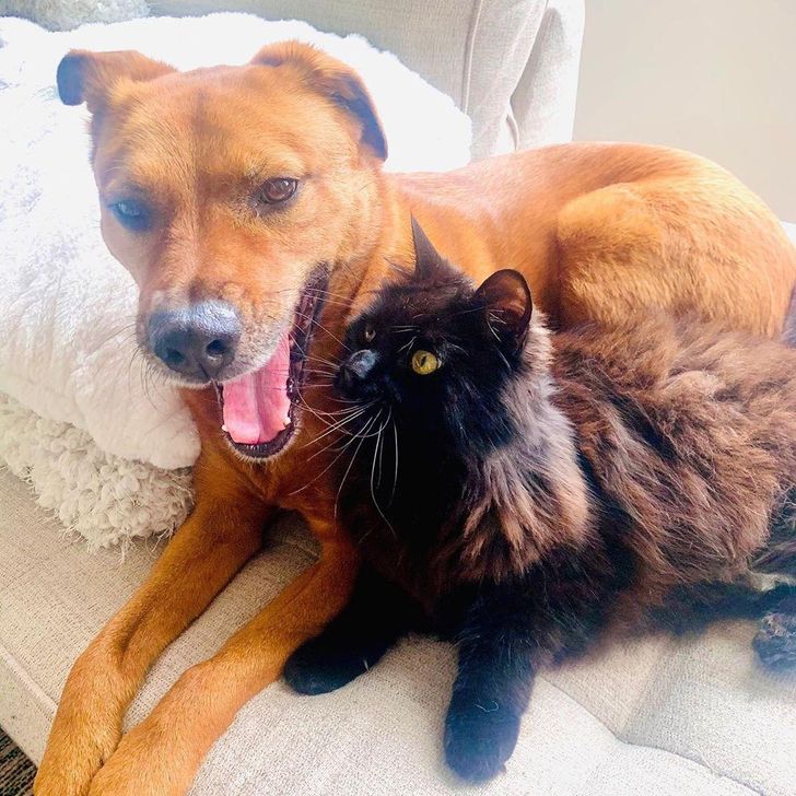 e8278855818a6b4c30405790ec