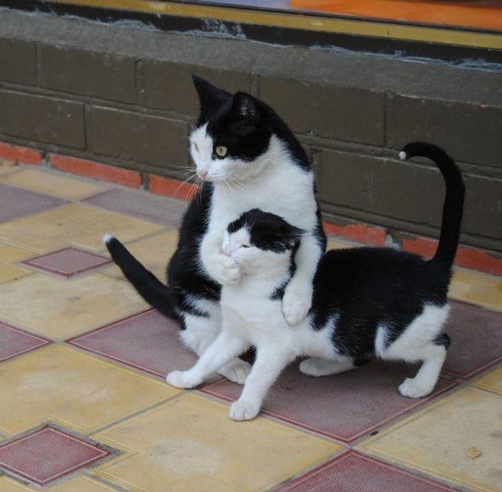 e828e6568fb45ef0863f304175