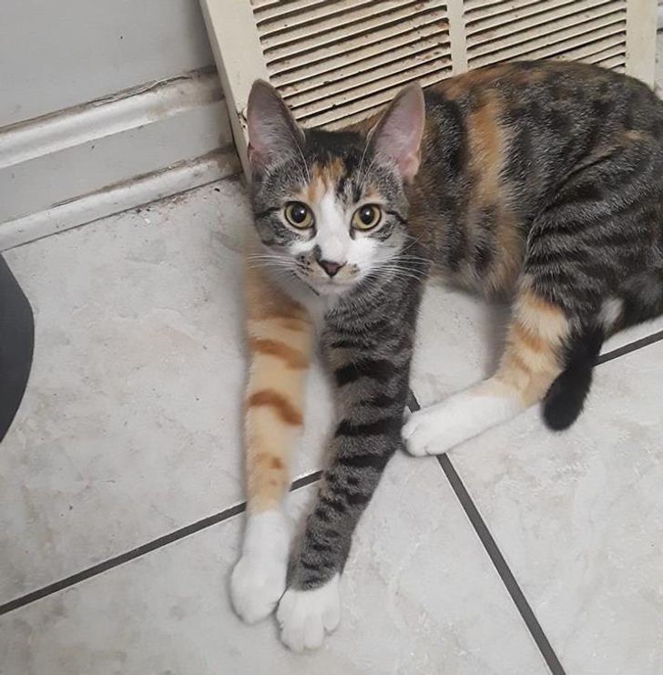 e8318f5095a3b4a63b64a7a436