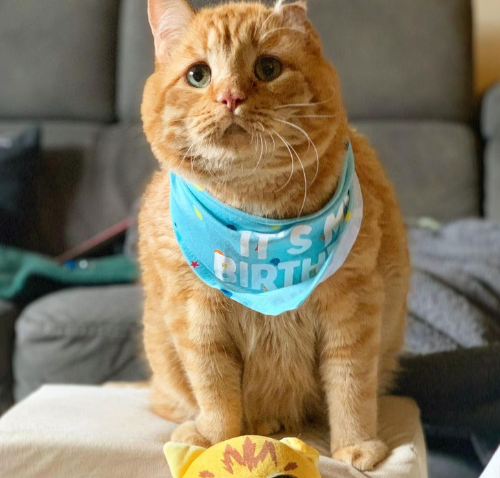 e837245b3984db2c62b33b2532