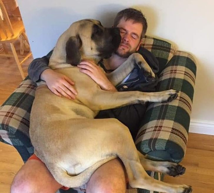 e83b82526185df2b8263b4fc57