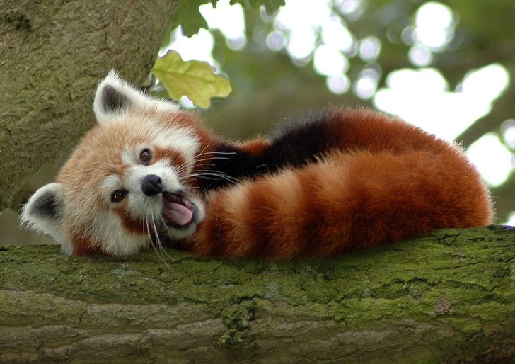 e841e15c00823b0bdef5140f49