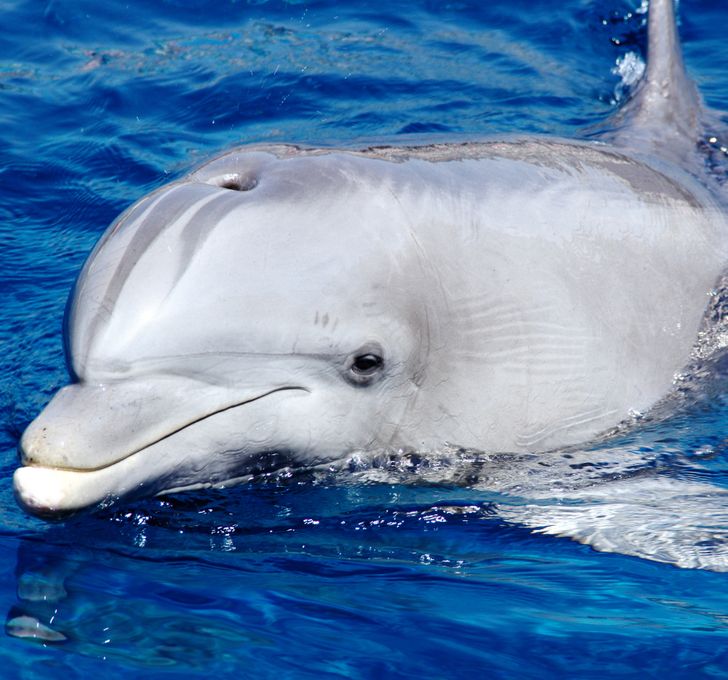 e84211518081363885232aa707