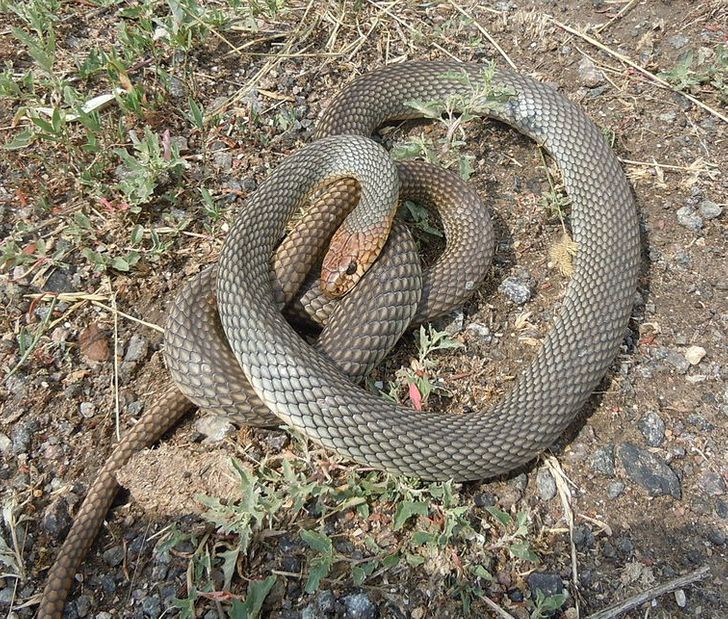 e846285746936304a08a1782dc