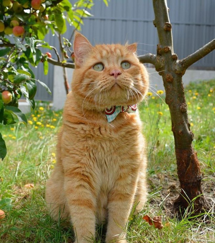 e849405f11890c1b1dfd3b7ea0