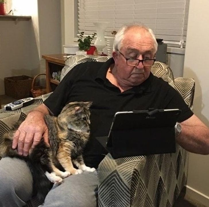 e8498655ed8d456610ba31e0b8