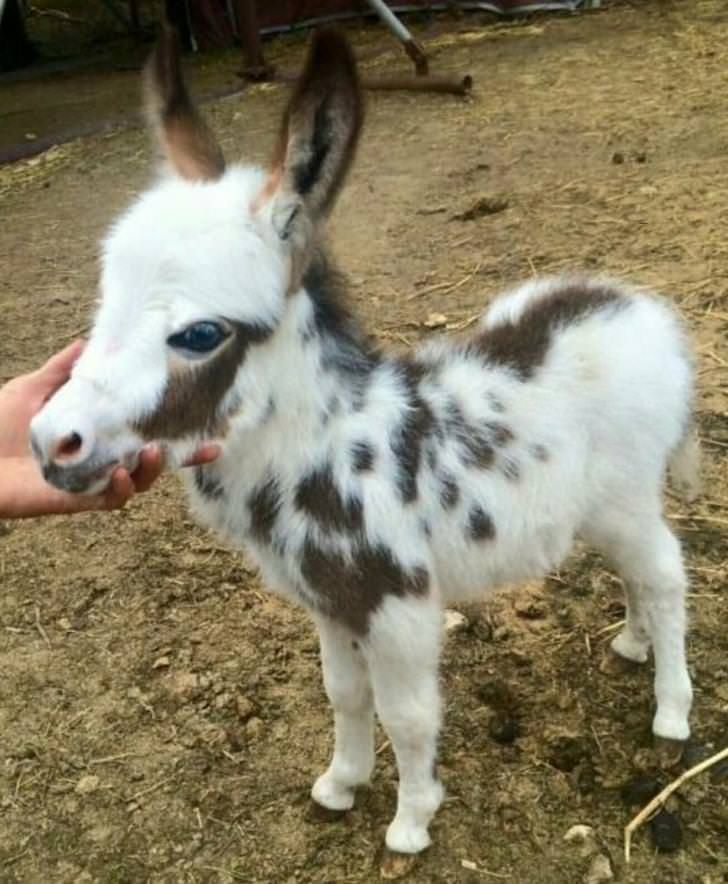 e849b154c19caa9556ef65553f