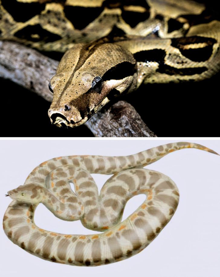 e84d9a5daea7aaba58c8091599