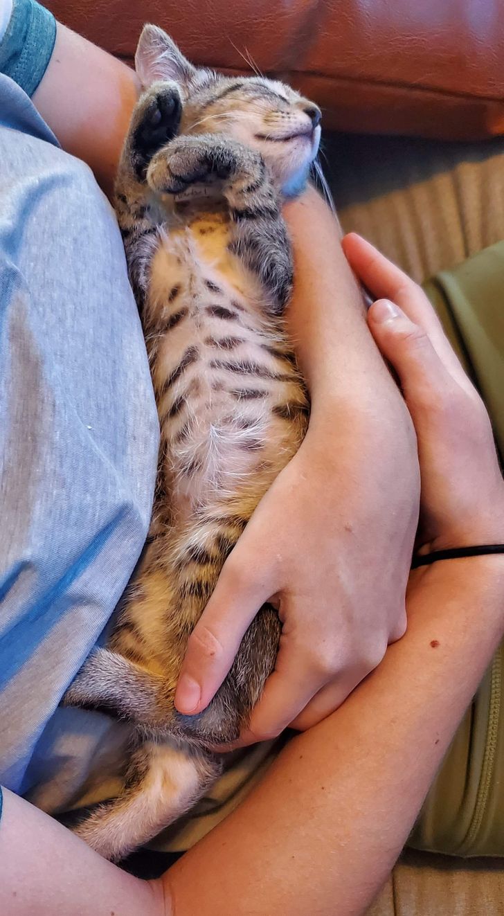 e84f0352bba233dfe27590d020