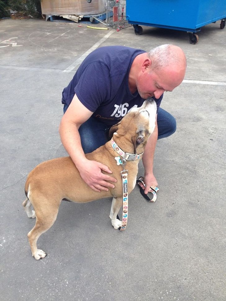 e850c054e08f2bed2a3e525834