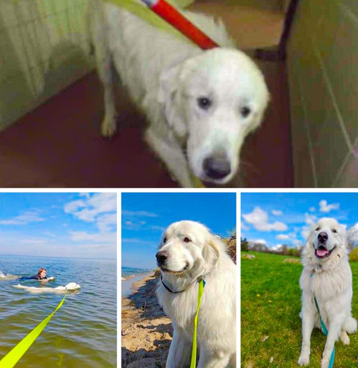 e859555f62af50ded29675aad3