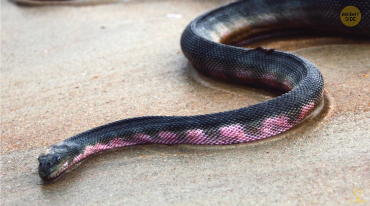 e861595a719afd976d76f69ab6