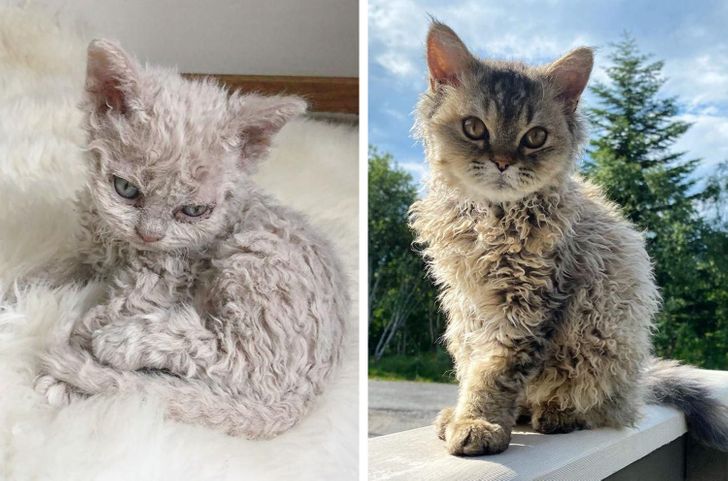 e863715a219165d022af001e41