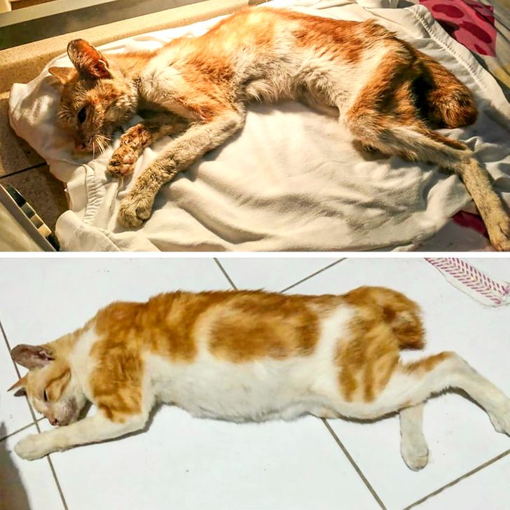 e86687549b8916ea513867ce43