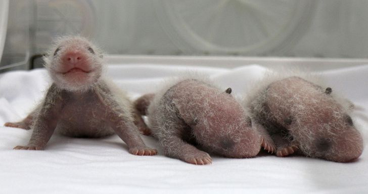 e86a1158b0988ee913921b707a