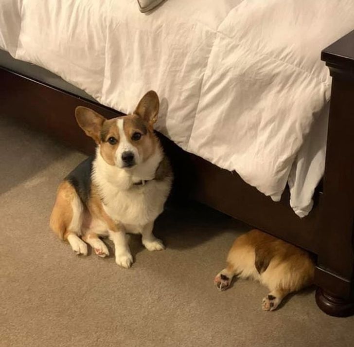 e876db5f859b99904a3a9b1077