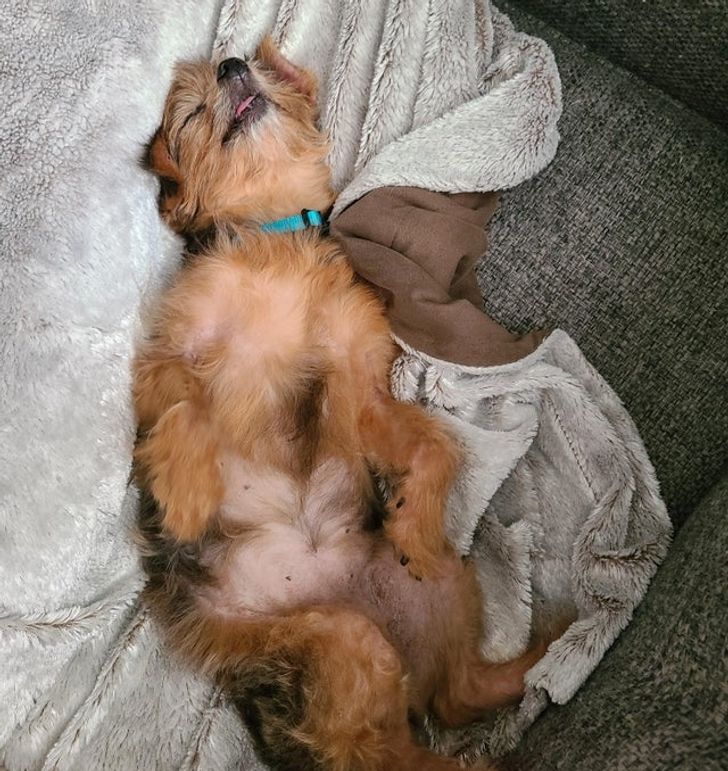 e880b55052a78bd566aa0e2ef3