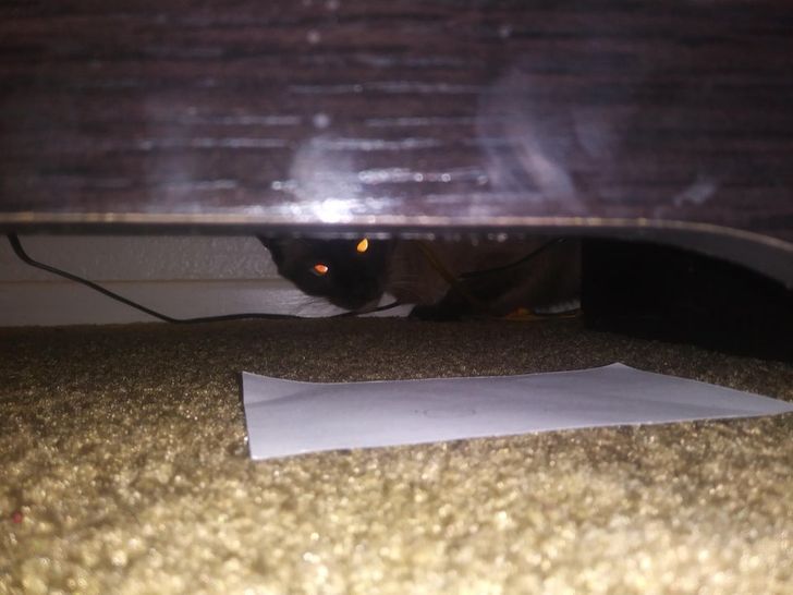 e880b659b5b84c060085ef335f