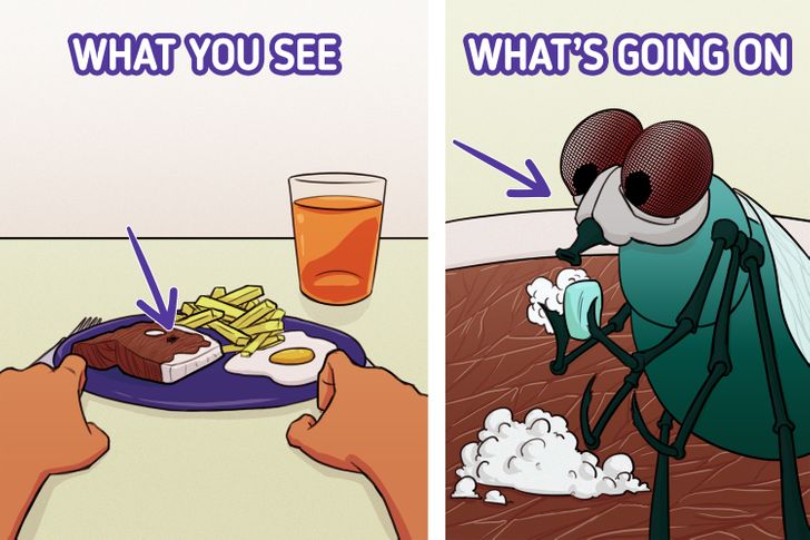 e88360525293295addec63e147