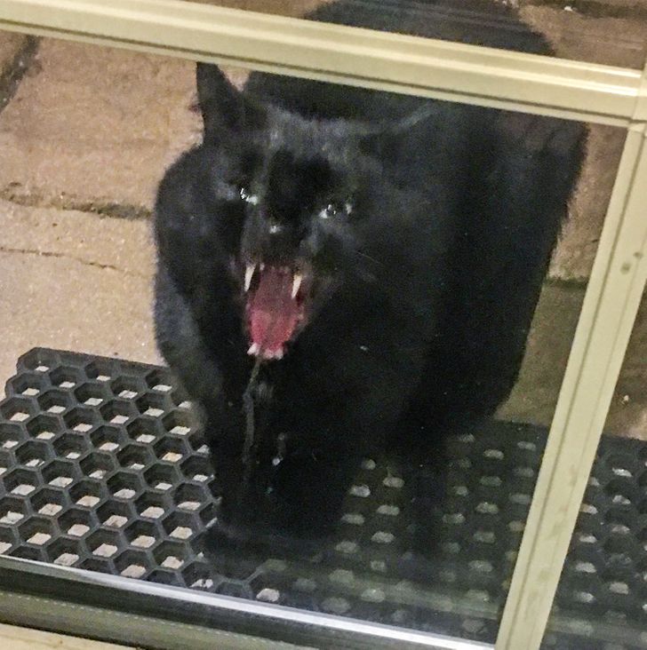 e8842552d59525c4a64c1f3281