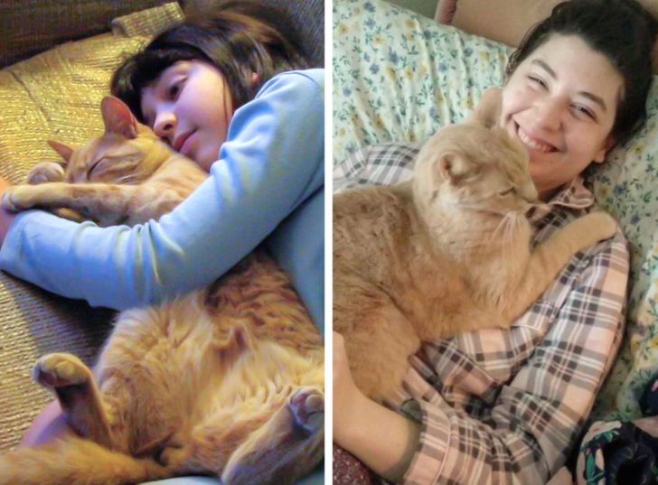 e88bac5577b44c01b7d2d2c91f