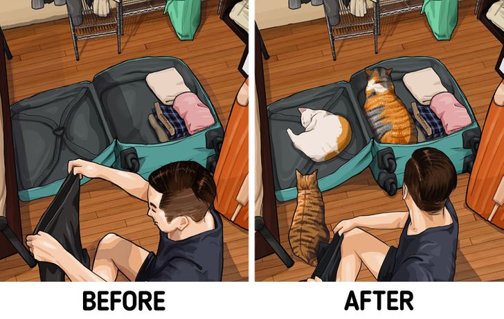 e88c735ad39cc82447021d59c8