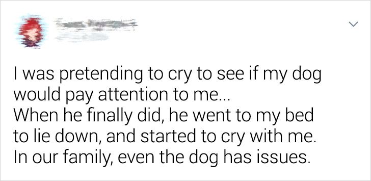 e88d695074b11104d62e46b323