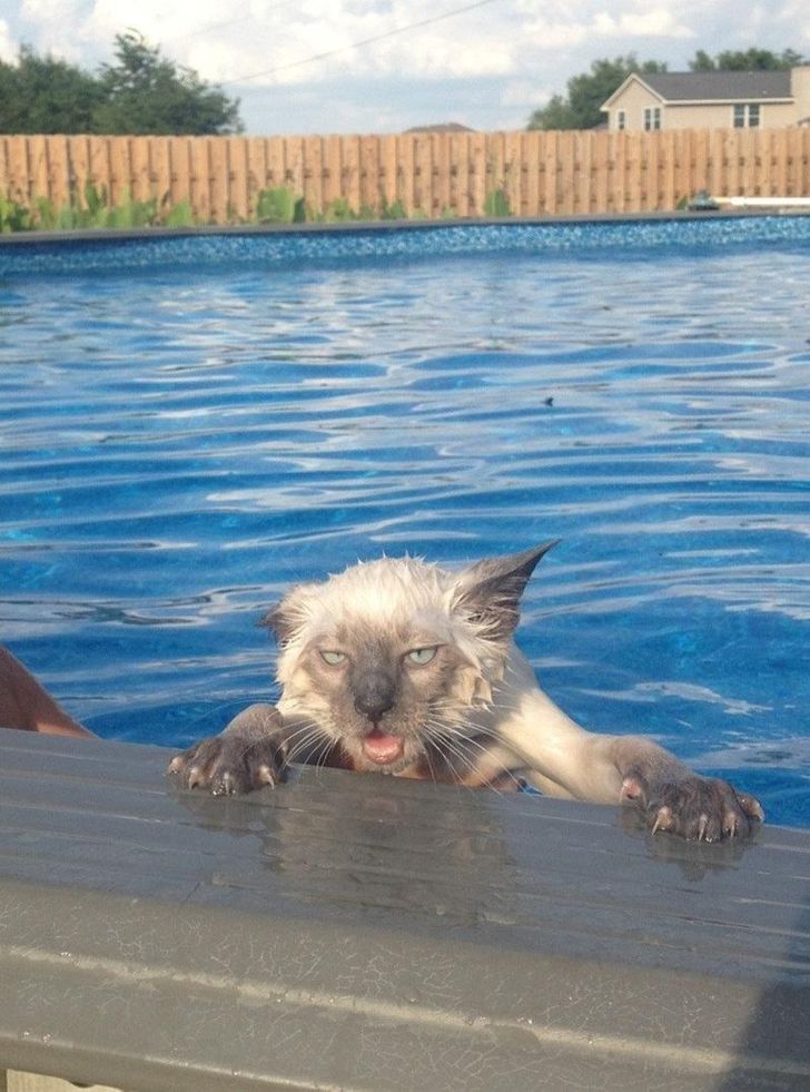 e891a75aef97f50179347b8ef3